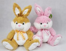 ����Ј�ُ�zCE�J�C